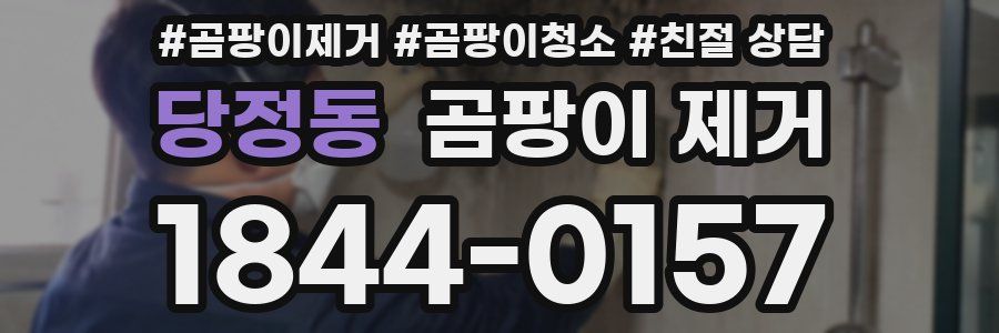 당정동 곰팡이 제거