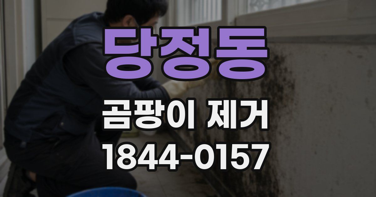 당정동 곰팡이 제거