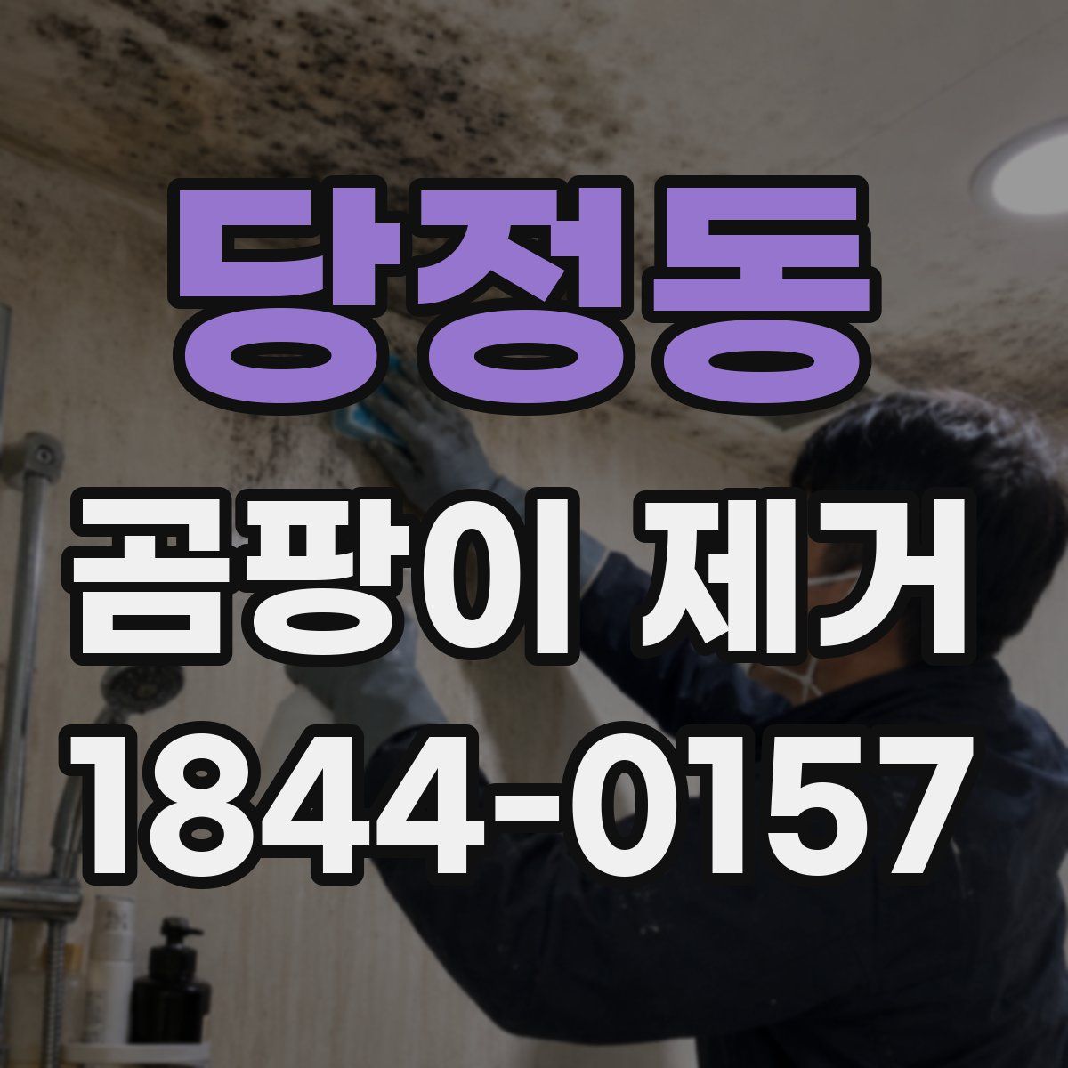 당정동 곰팡이 제거