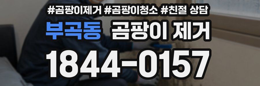 부곡동 곰팡이 제거