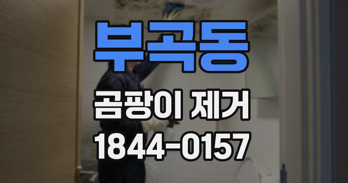 부곡동 곰팡이 제거