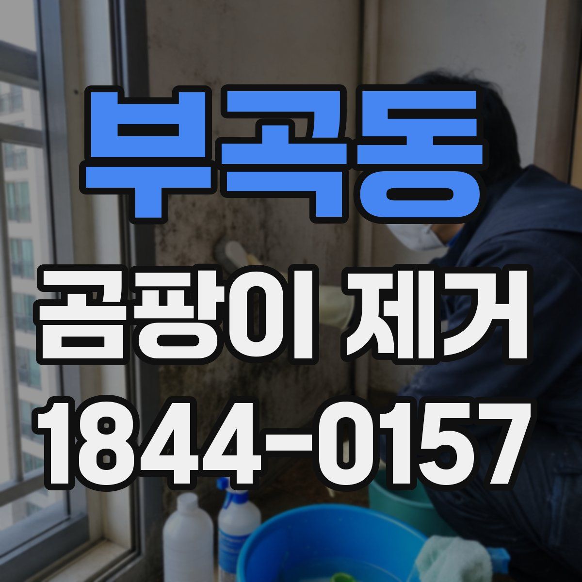 부곡동 곰팡이 제거