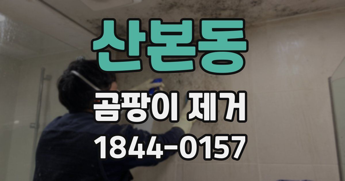 산본동 곰팡이 제거