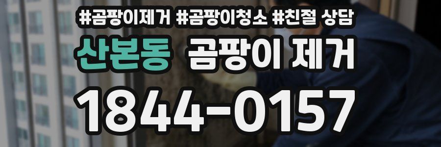 산본동 곰팡이 제거