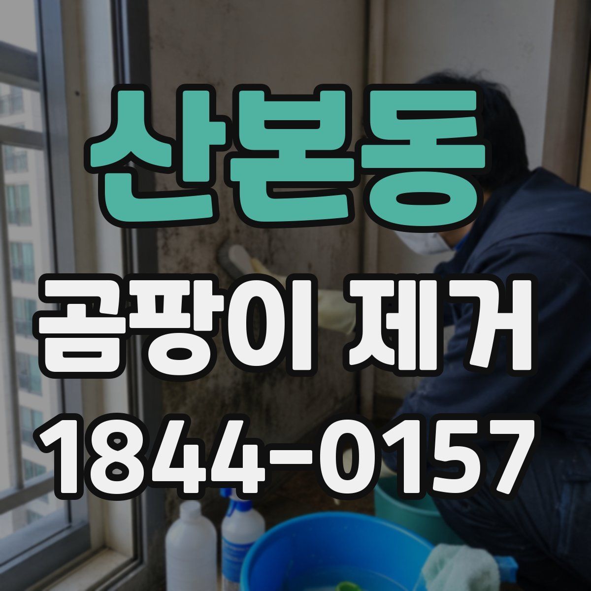 산본동 곰팡이 제거
