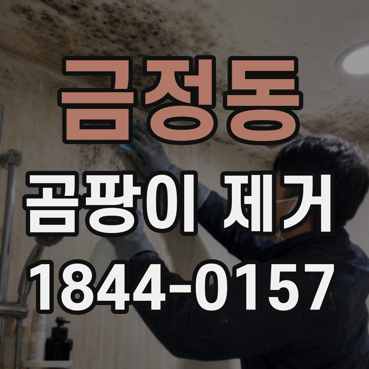금정동 곰팡이 제거 초기에 알아차리는 신호들