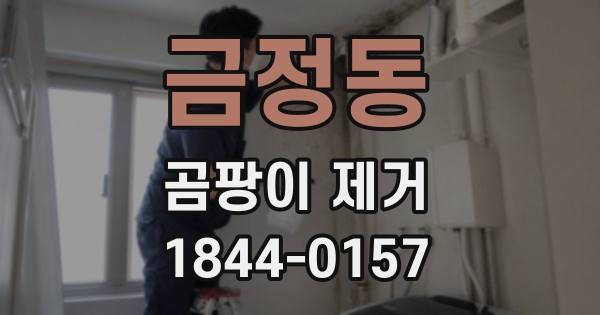 금정동 곰팡이 제거