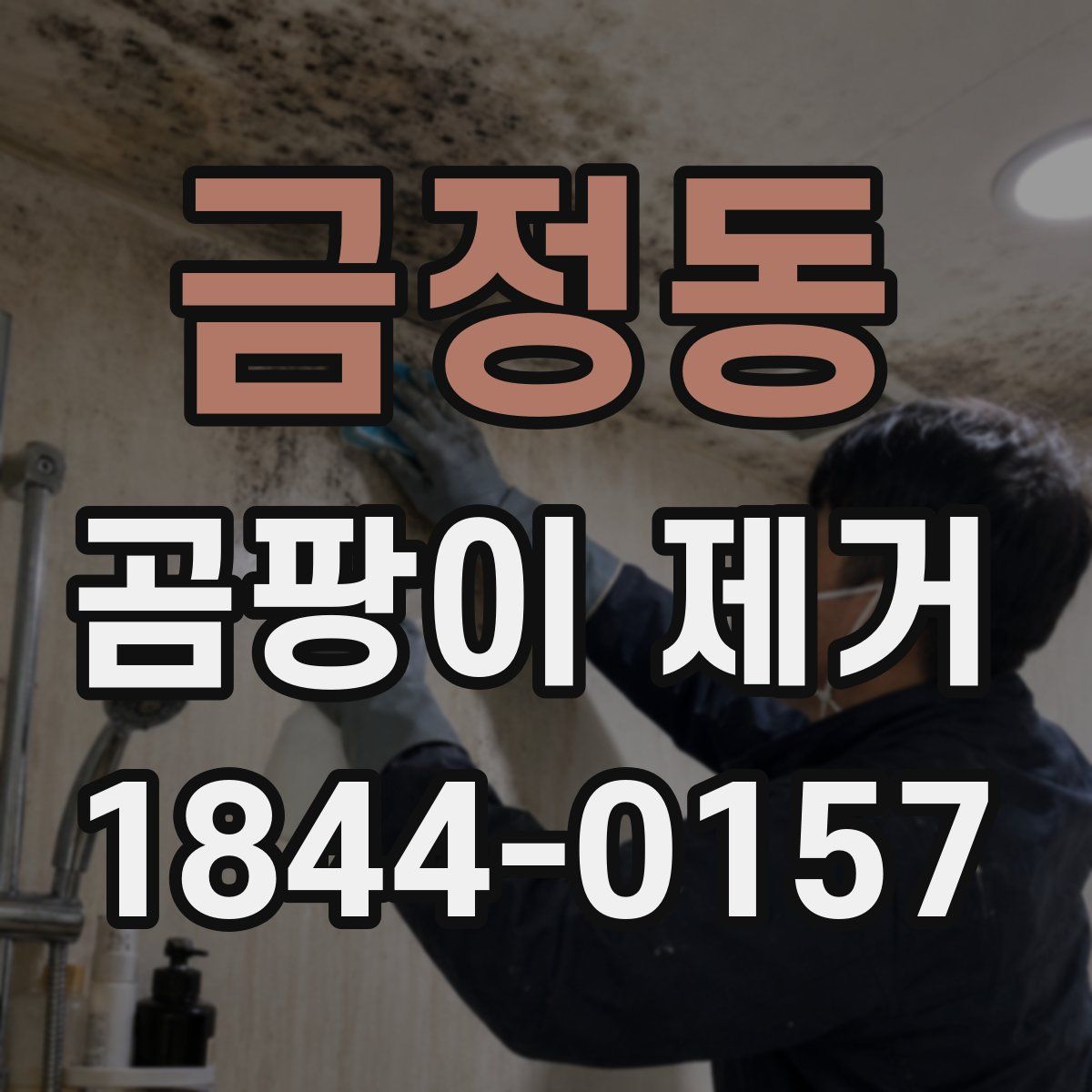 금정동 곰팡이 제거