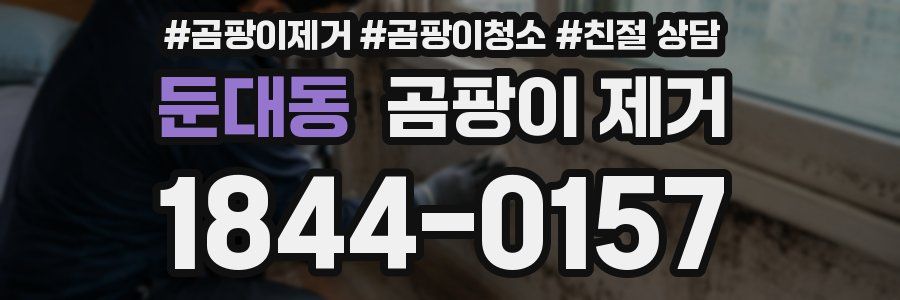 둔대동 곰팡이 제거