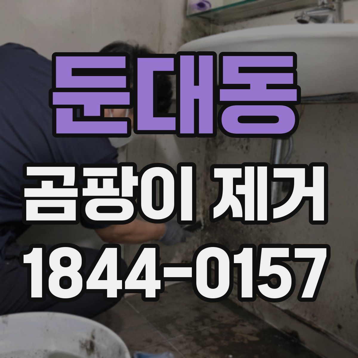 둔대동 곰팡이 제거