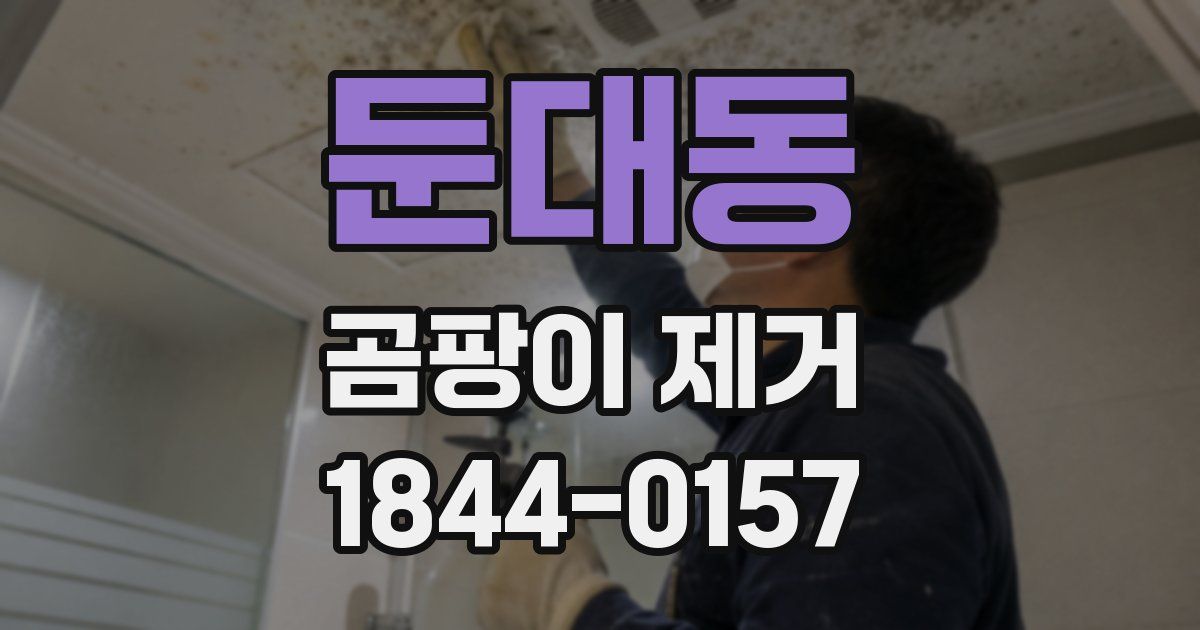 둔대동 곰팡이 제거