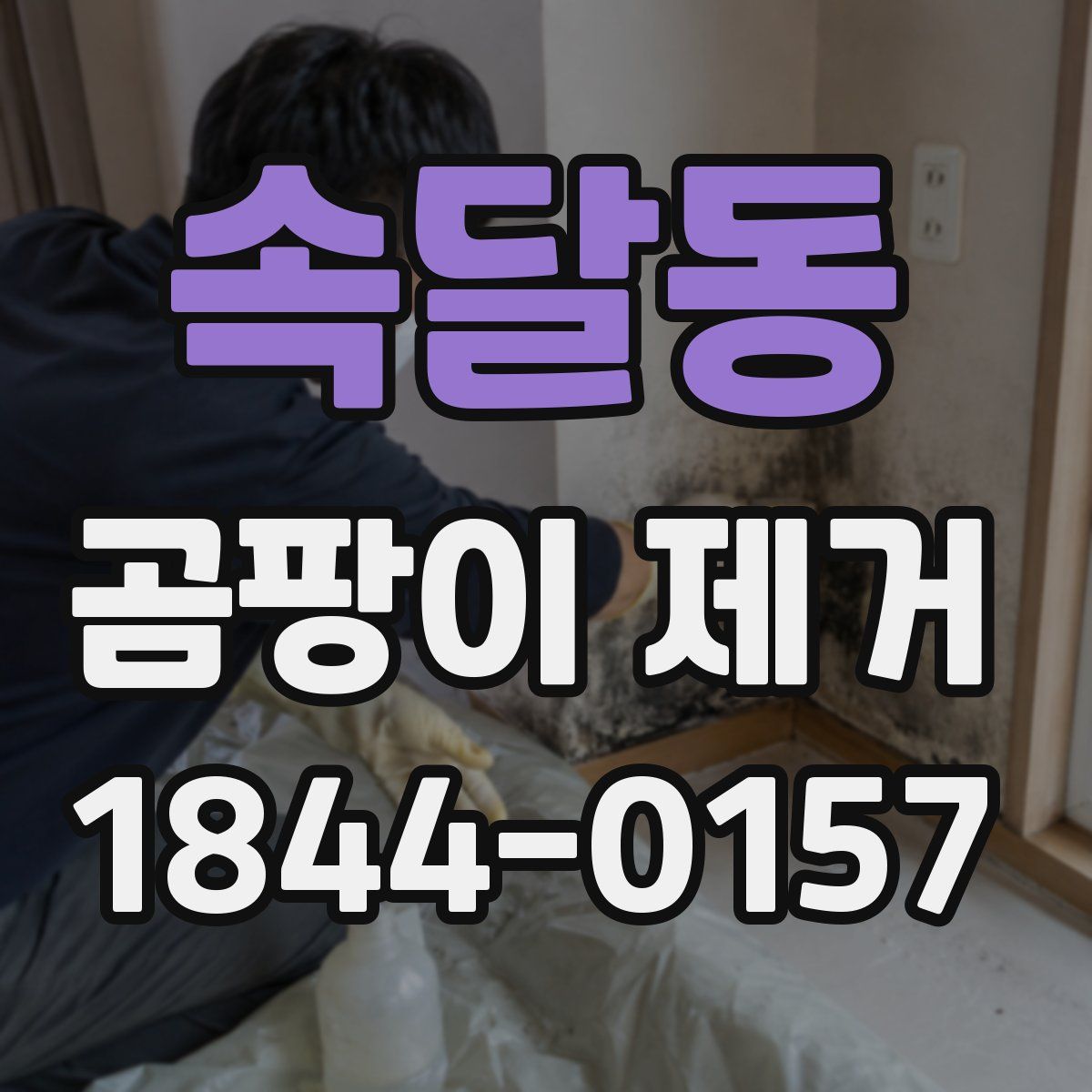 속달동 곰팡이 제거