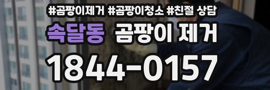 속달동 곰팡이 제거