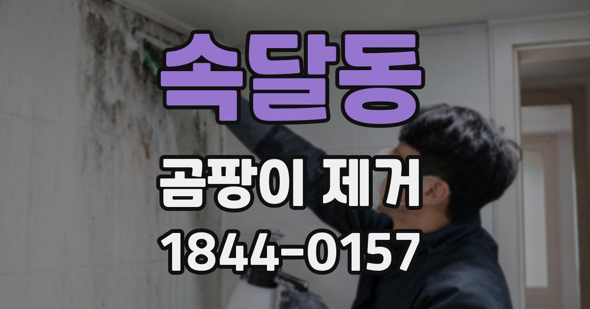 속달동 곰팡이 제거