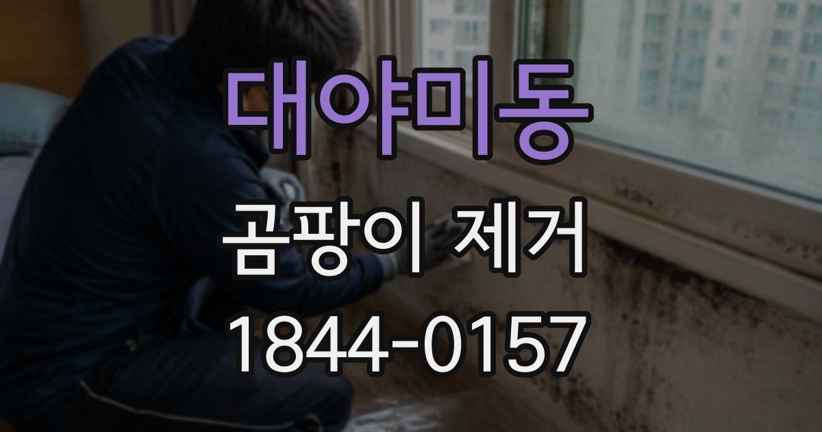 대야미동 곰팡이 제거