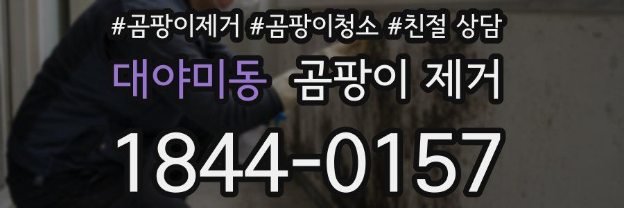 대야미동 곰팡이 제거