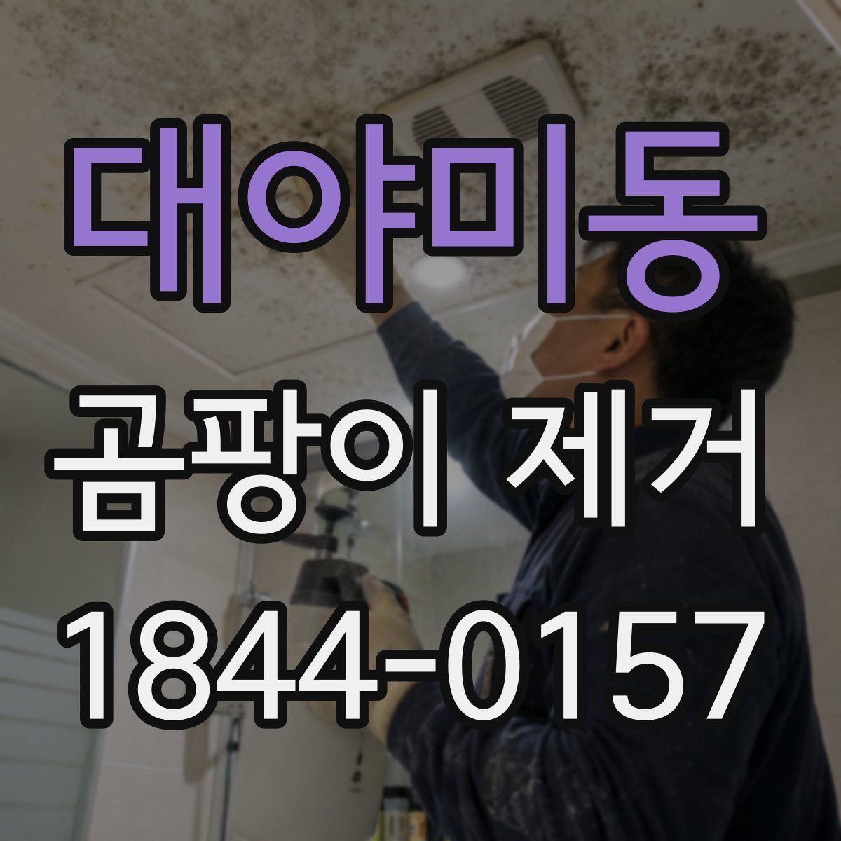 대야미동 곰팡이 제거
