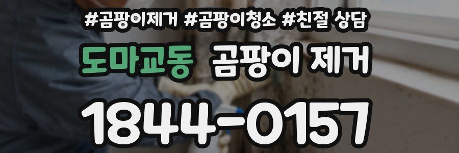 도마교동 곰팡이 제거