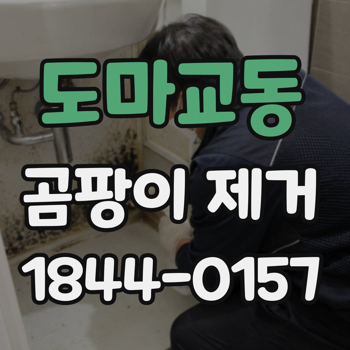 도마교동 곰팡이 제거
