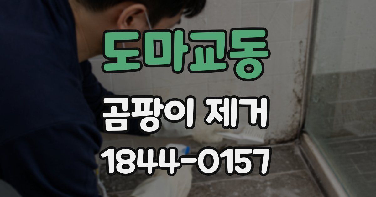 도마교동 곰팡이 제거