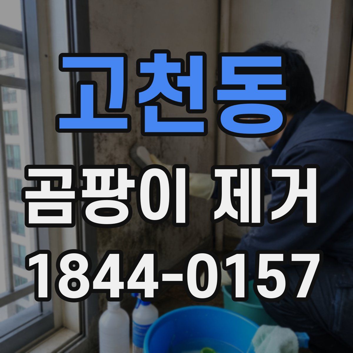 고천동 곰팡이 제거