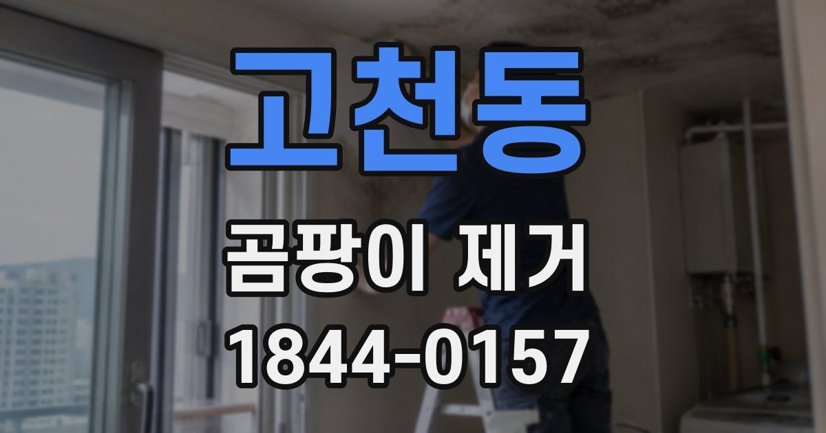 고천동 곰팡이 제거