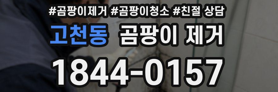 고천동 곰팡이 제거