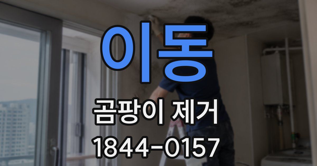 이동 곰팡이 제거