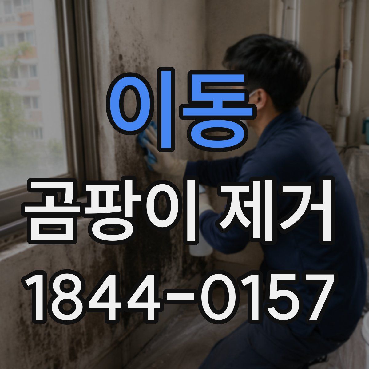 이동 곰팡이 제거
