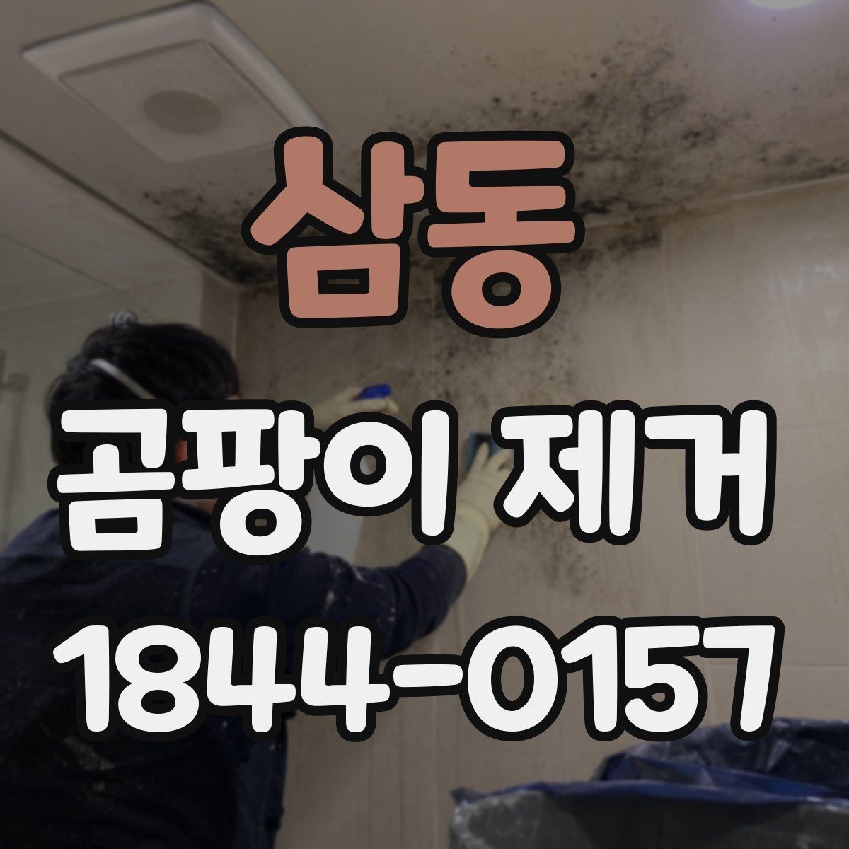 삼동 곰팡이 제거 전 상태 진단이 필요한 이유