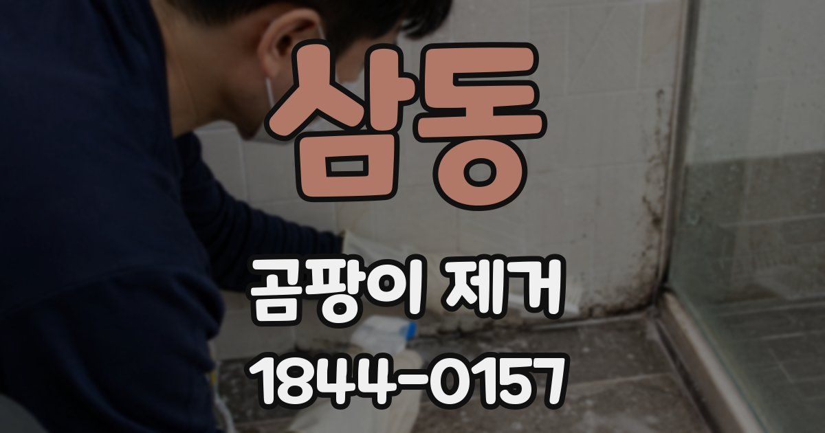 삼동 곰팡이 제거