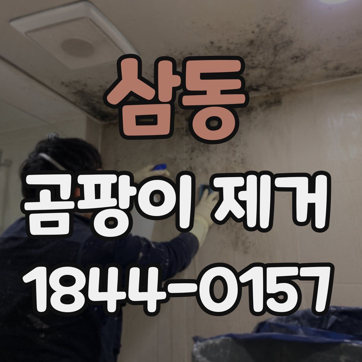 삼동 곰팡이 제거