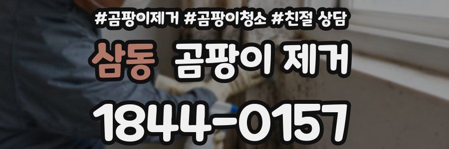 삼동 곰팡이 제거