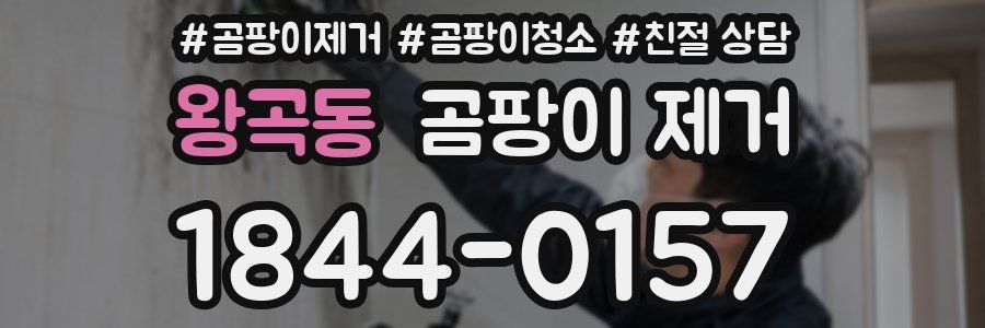 왕곡동 곰팡이 제거