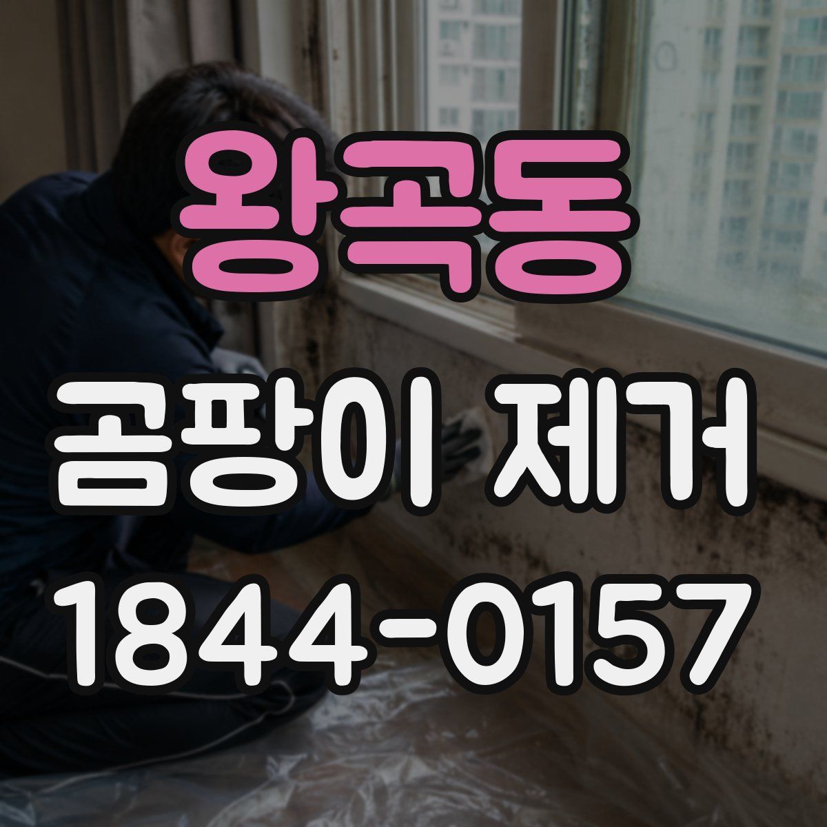 왕곡동 곰팡이 제거