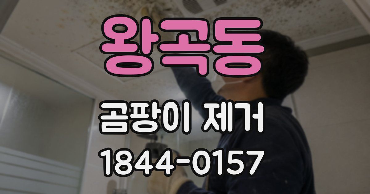 왕곡동 곰팡이 제거