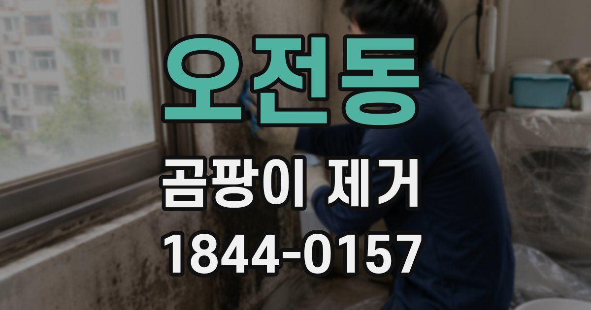 오전동 곰팡이 제거