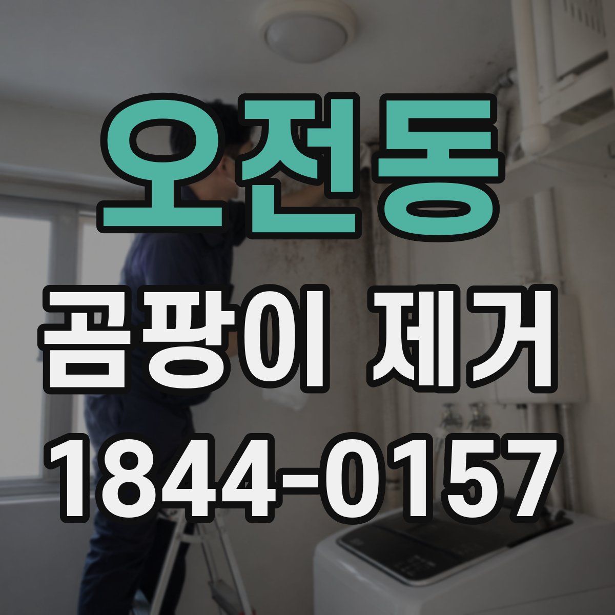 오전동 곰팡이 제거