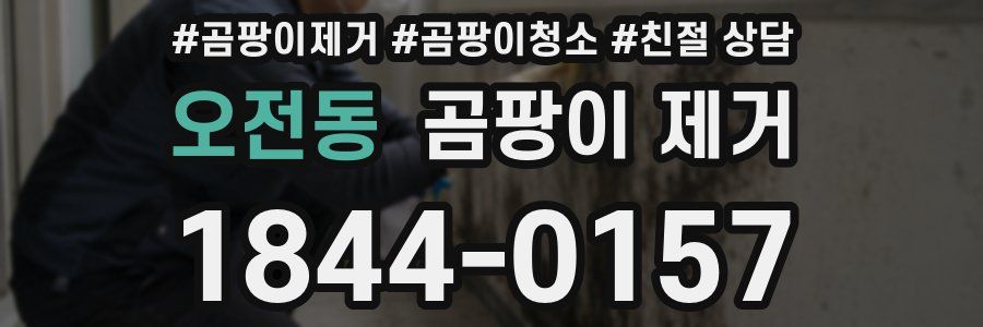 오전동 곰팡이 제거