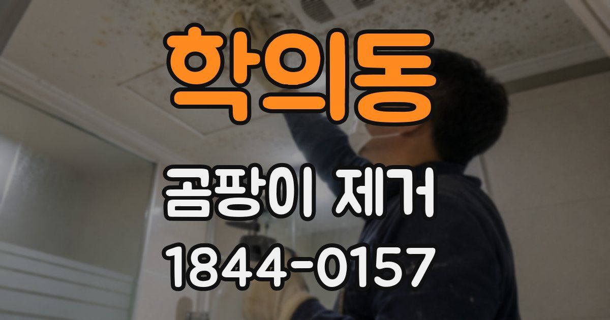학의동 곰팡이 제거