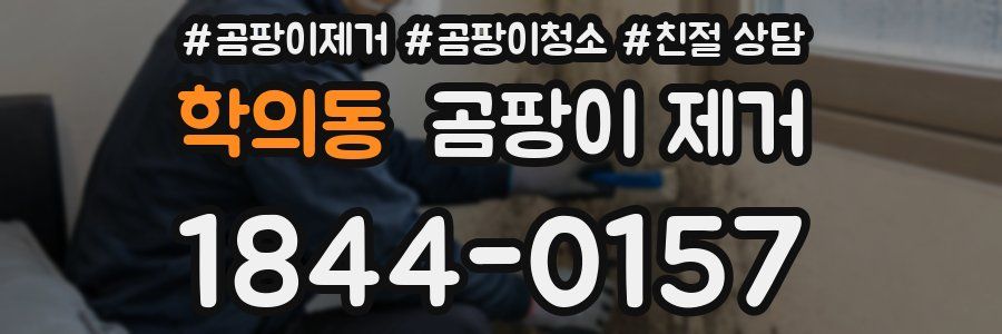 학의동 곰팡이 제거
