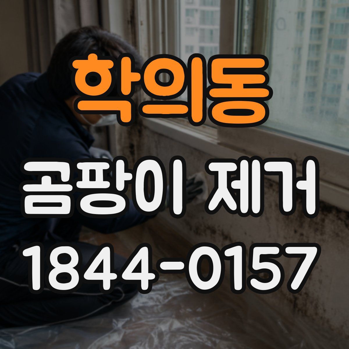 학의동 곰팡이 제거