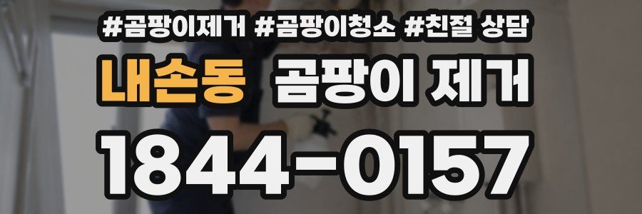 내손동 곰팡이 제거