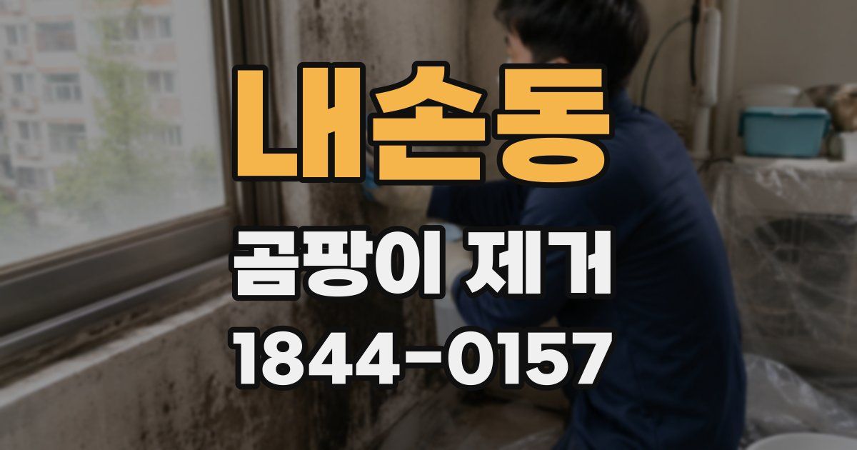 내손동 곰팡이 제거