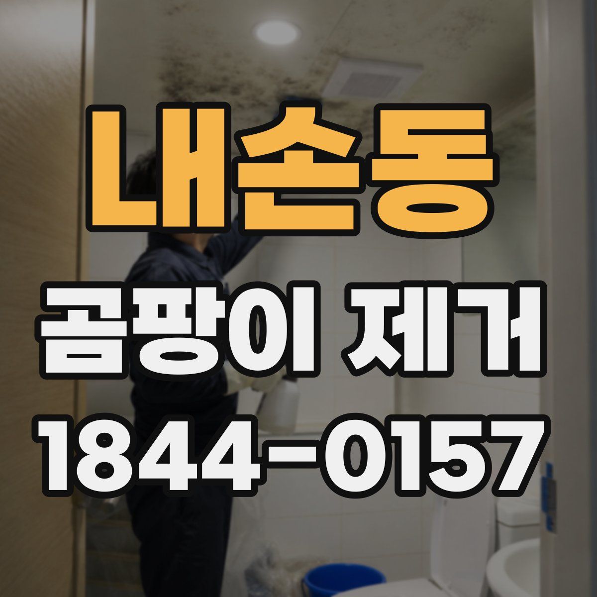 내손동 곰팡이 제거