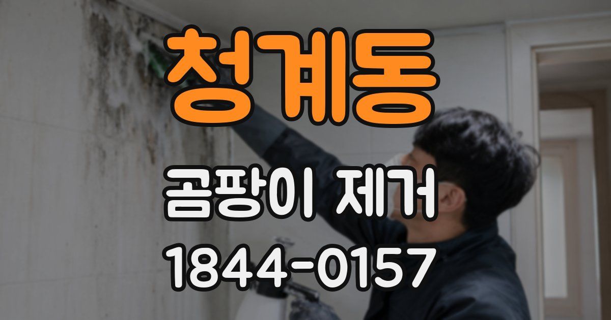 청계동 곰팡이 제거