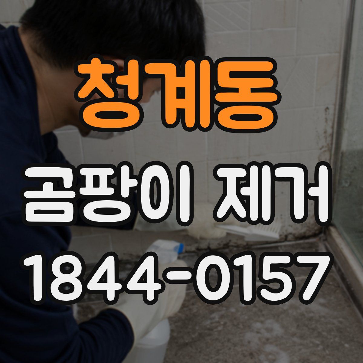 청계동 곰팡이 제거