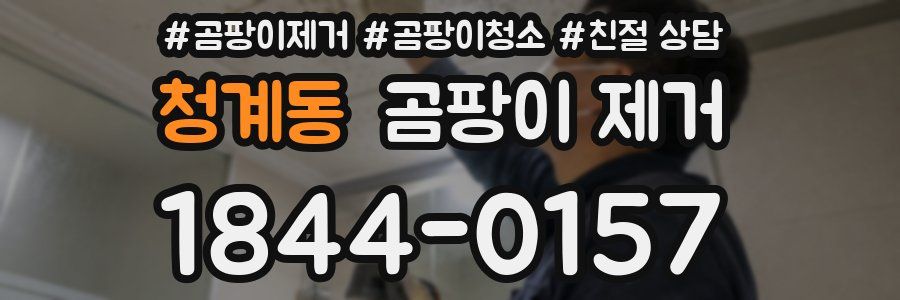 청계동 곰팡이 제거