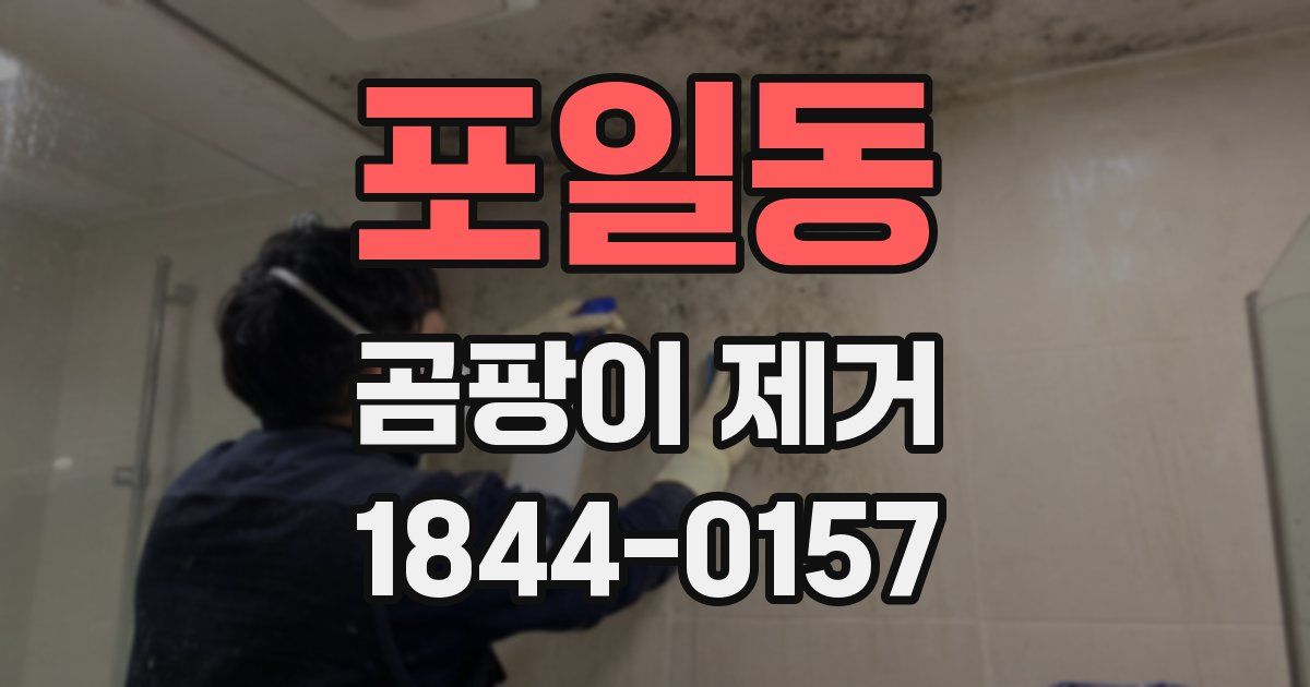 포일동 곰팡이 제거