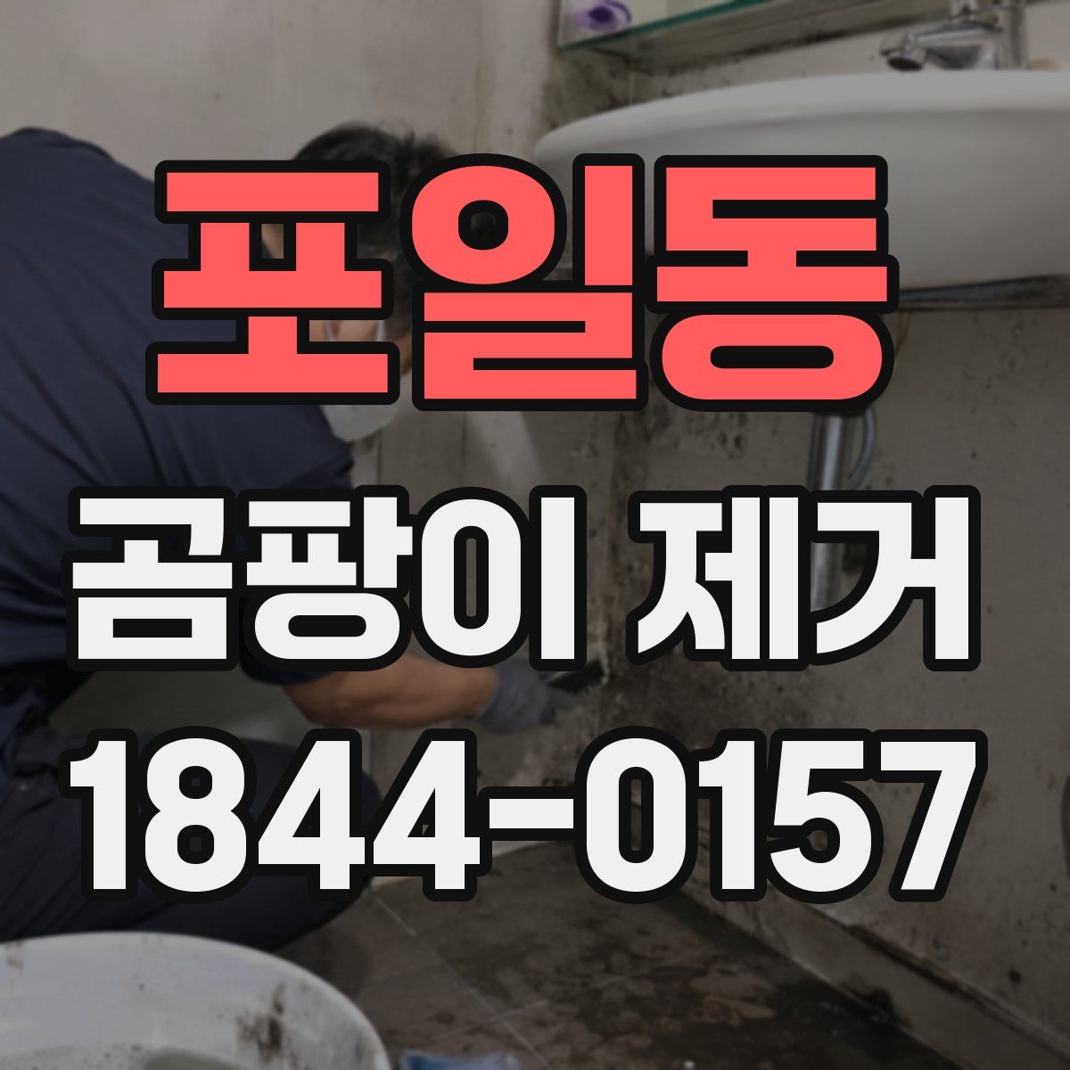 포일동 곰팡이 제거